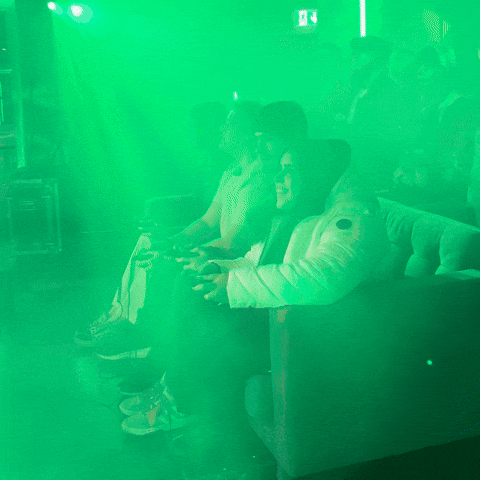 Video Games Gamer GIF