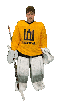 Hockeylietuva Sticker by ledoritulys.lt
