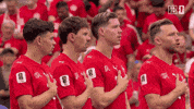 Proud Fifa World Cup GIF by DAZN