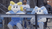 Watching University Of North Carolina GIF by UNC Tar Heels