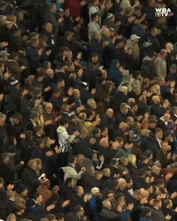 West Brom Football GIF by West Bromwich Albion