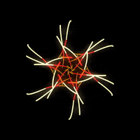 art geometry GIF by xodnnhm