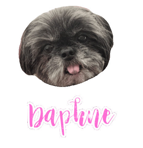 Dog Daphne Sticker