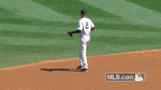 nyy GIF by MLB