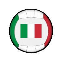 Ball Italy Sticker by Swiss Dodgeball