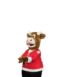 World Cup Referee Sticker by 2020 IIHF Ice Hockey World Championship Switzerland