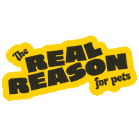 Cats Dogs Sticker by Real Reason for Pets