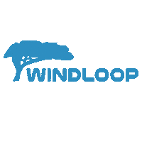 Kite Kitesurf Sticker by Windloop