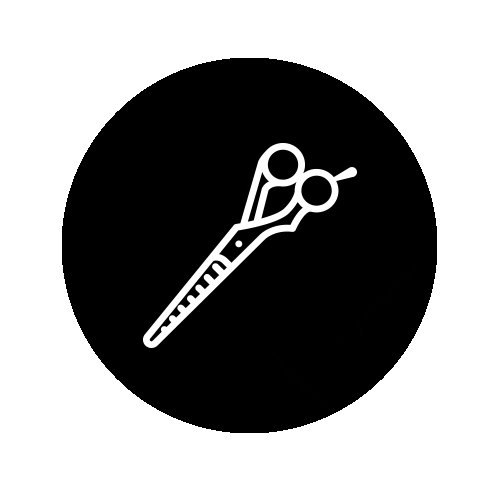 beauty hair Sticker by Paul Mitchell Schools