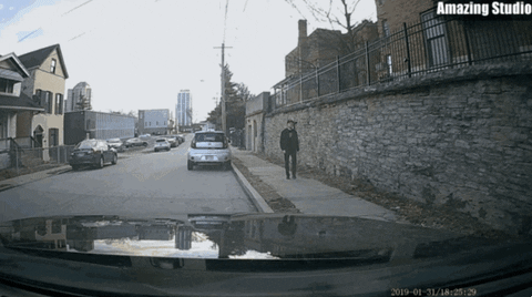 patraschew giphyupload GIF