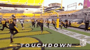 Pick Six Pittsburgh Steelers GIF by NFL