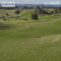 Travel Bike GIF by Acorn TV