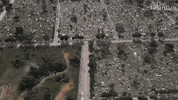 GIF by The Guardian