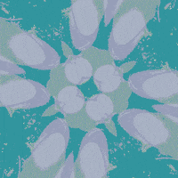 loop flower GIF by Njorg