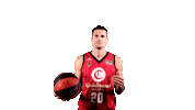 Liga Endesa Sport Sticker by ACB