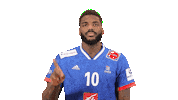 France Hand Sticker by EHF