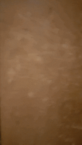 Simongip giphyupload GIF