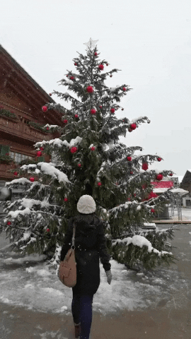 melanieng062c giphygifmaker GIF