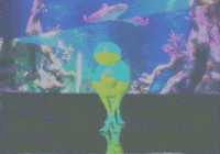 shocked art GIF by The NGB