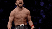Mixed Martial Arts Knockout GIF by ESPN