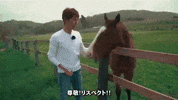 Horse Attack GIF