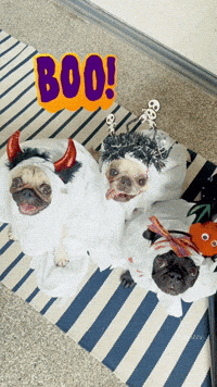 Freaky Friday Halloween GIF