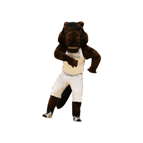 Santa Clara University Bucky Sticker by Santa Clara Broncos