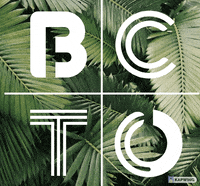 TheTorontoBarreCollective  GIF