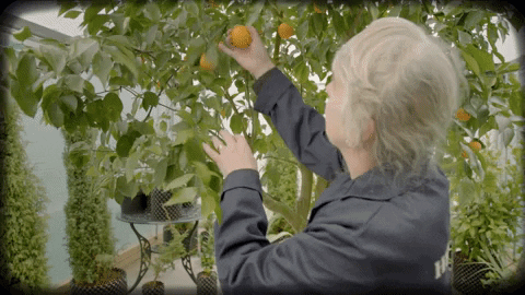 Beer Wine GIF by HENDRICK'S GIN
