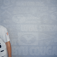 Brigham Young Byu Baseball GIF by BYU Cougars