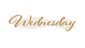 Wednesday Morning Sticker