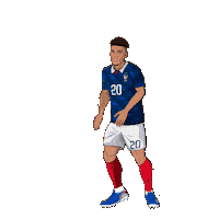 France Football Sticker by Panini America