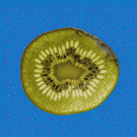Avocado Uva GIF