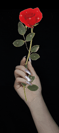 GIF by Flosstradamus