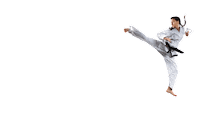 Vervetaekwondo taekwondo martialarts tkd verve Sticker