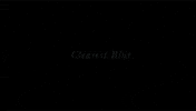 music video GIF by mtv