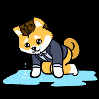 DogelonMars dog meme crypto crying GIF