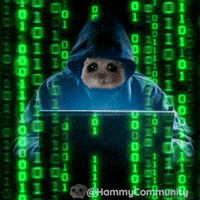 Coin Code GIF by Sad Hamster