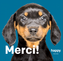 Merci Beaucoup GIF by Happy – Swiss Beds