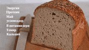 Blog Bread GIF by Lesaffre MECA