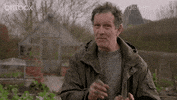 bbc yes GIF by britbox
