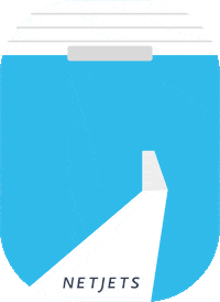 Travel Fly GIF by NetJets