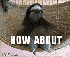 Wildlife gif. A regal sloth sits in a hammock chair and asks "How about..." before he turns directly toward the camera which zooms in on his face as he finishes the sentence with "no."