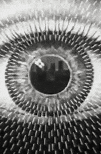 May Black And White GIF by The Pathfinder
