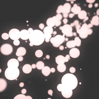 GIF by Borrachas