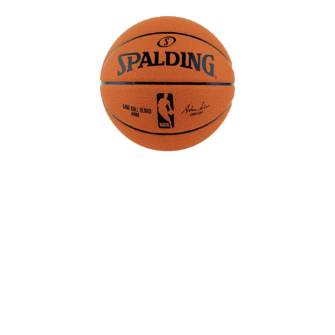 Spalding_Brasil giphyupload Sticker