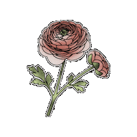 Flower Beutiful Sticker