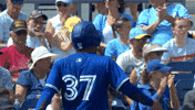 Blue Jays Good Job GIF by Toronto Blue Jays