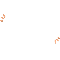 Text Typography Sticker