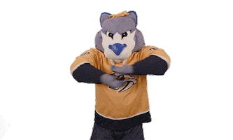 Ice Hockey Sticker by NHL